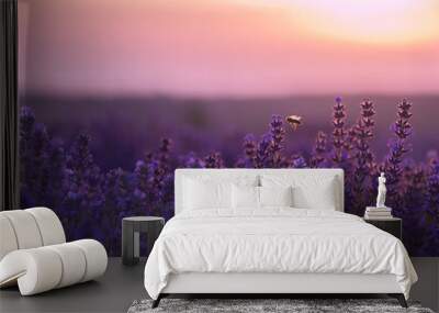 Bee flying  over lavender field Wall mural