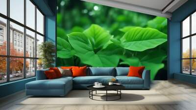 Nature of green leaf in garden at summer. Natural green leaves plants using as spring background Wall mural