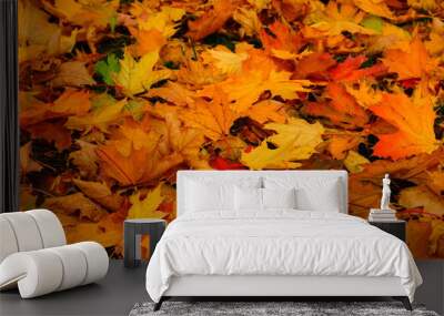 Yellow orange maple leaves laying on the ground. Beautiful autumn maple leaves. Organic beauty. Autumn season forest background. Fall nature. Wall mural