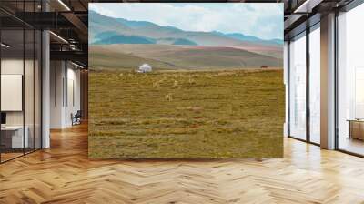 Yurt on valley in the mountains. Mountain valley view. Nature landscape. Summer landscape. Assy plateau in Kazakhstan. Wall mural