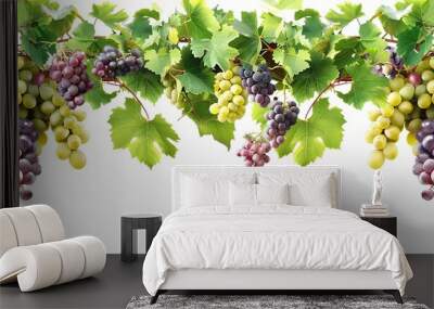 Vineyard grape border with green leaves and different colored grapes isolated on white background, detailed illustration Wall mural