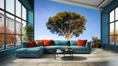 Special background with nature scenery, tree, flowers, flowers Wall mural