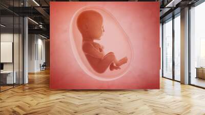 fetus inside the womb Wall mural