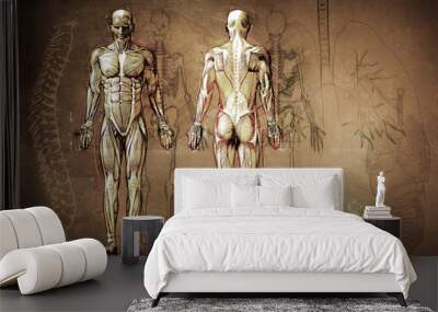 human anatomy drawing, old, canvas Wall mural