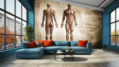 human body Wall mural