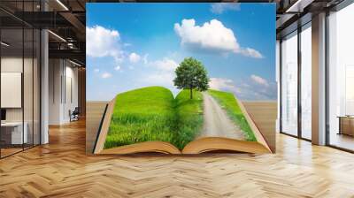 magic book with a landscape Wall mural