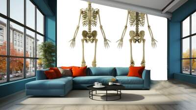 skeleton Wall mural