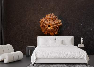 rudraksha seed Wall mural