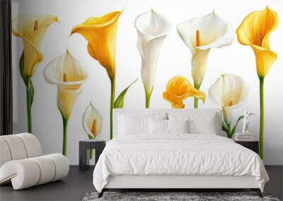 A Collection of Calla Lilies in Various Shapes for a Minimalistic and Elegant Floral Design Wall mural