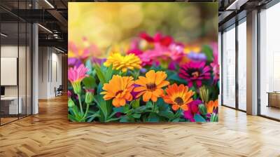 Blooms in Bloom A closeup of a flower bed filled with colorful blooms, perfect for text overlays about flower varieties or gardening inspiration Wall mural