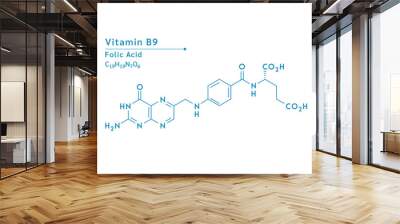 Vitamin B9 structural blue outline chemical formula. Medical and scientific concepts. Isolated on white background. Vector EPS10 illustration Wall mural