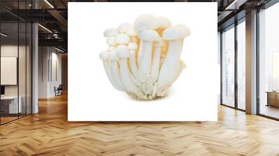 White beech mushrooms or Shimeji mushroom isolated on white background. Wall mural