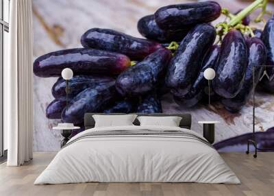 Witch grapes, moon drops, grapes or sweet sapphires picked from the garden fresh and new.  It is a seedless grape that is sweet and delicious. Wall mural