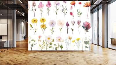 Set of watercolor wildflowers painting isolated on clear png background and transparent background. Fresh and nature concept for nature decorative and flower element, AI generative. Wall mural