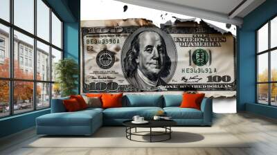 Money 100 dollar bill burned through on transparent background Wall mural