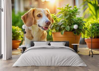 Adorable curious canine with floppy ears and a wagging tail sneaks a snack on a lush green potted plant's fresh leaves on a sunny day. Wall mural