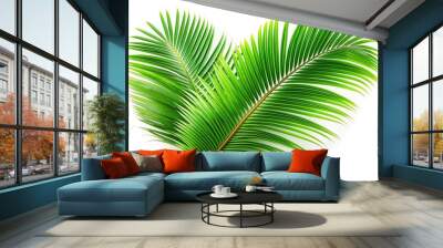 Fresh and vibrant green coconut palm leaves isolated on a pure white background, curled and twisted with natural texture and intricate details. Wall mural