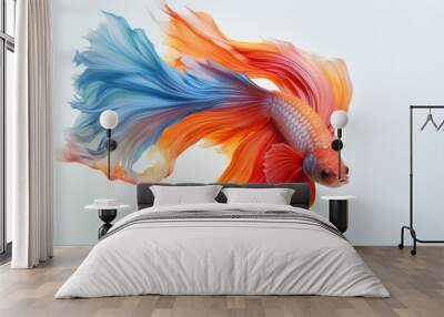 A colorful betta fish in a graceful swim in front of a minimalist white backdrop. Generative AI Wall mural