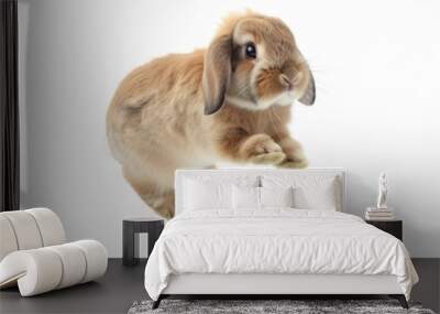 Holland Lop Rabbit's Binky Jump: Capture the joyful binky jump of a Holland Lop rabbit. photo on white isolated background Wall mural