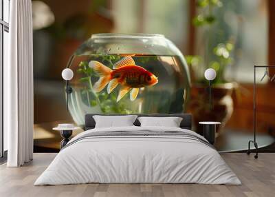 aquarium accessories. ornamental gold fish in a bowl Wall mural