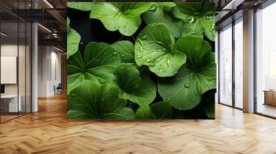 The lotus leaf plant is just a background leaf Wall mural