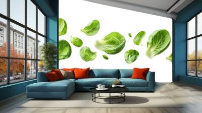 Fresh green bok choy leaves floating transparent background Wall mural