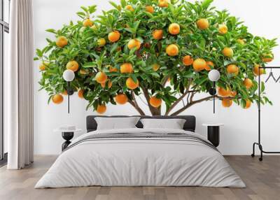 Fruitful orange tree with vibrant oranges and lush green leaves on a white background, symbolizing health, nutrition, and nature's bounty. Wall mural