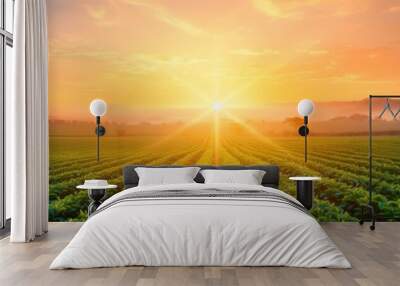 Sunrise Over Lush Green Farmland Fields Wall mural