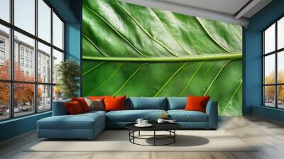 Vivid green leaf closeup, a study in texture and natural beauty Wall mural