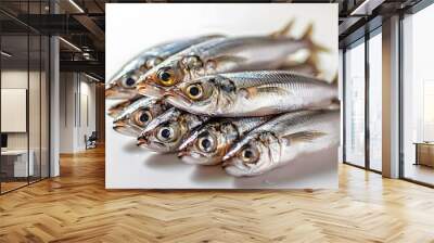 A group of fresh sardines on a white background Wall mural