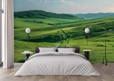 Countryside dirt road through green grassy hills Wall mural