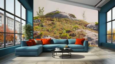 Green Moss Covered Rock Hill Landscape Wall mural