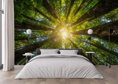 Looking up at tall trees in a lush green forest Wall mural