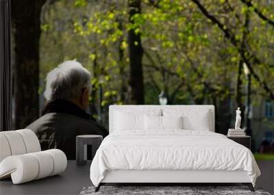 Man Sitting On A Bench In A Park In The Springtime Wall mural