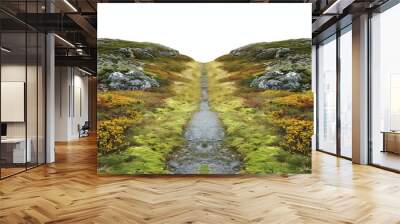 Path Leading Upwards Between Two Hills Wall mural