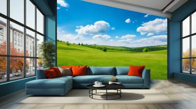 Sky and grass background, fresh green fields under the blue sky in spring Wall mural