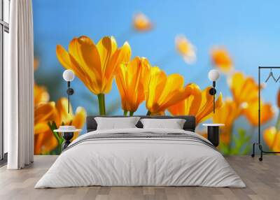 Yellow Flowers in a Field Against Blue Sky Wall mural