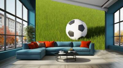 Closeup of soccer ball on textured green grass	
 Wall mural