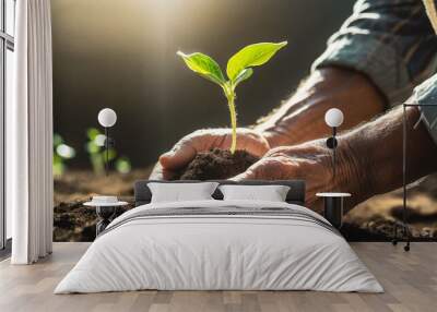 Farmer hands planting seedlings in vegetable garden. Gardening in spring. Homemade products in organic farming. Sustainable and environment protection concept.	 Wall mural