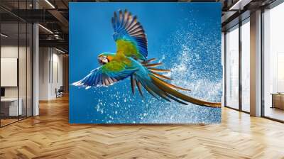 Parrot flying in the air on blue background with splash effect.  Wall mural