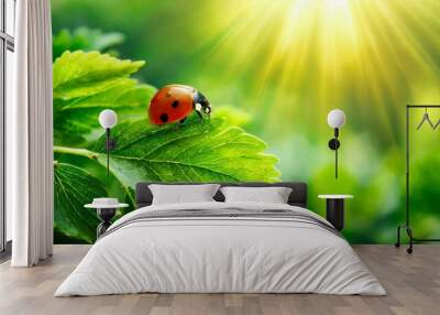 Wide format background image of fresh juicy green leaves and ladybug lit by rays of sun in nature with space for text. Wall mural