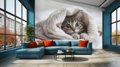 kitty hiding underneath a blanket Wall mural