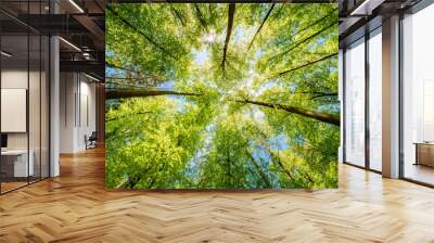 a view up into the trees direction sky - sustainability picture - stock photo - sunstar Wall mural