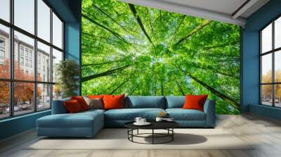 springtime forest with setting sun shining through leaves and branches. nature, forestry, habitat, e Wall mural