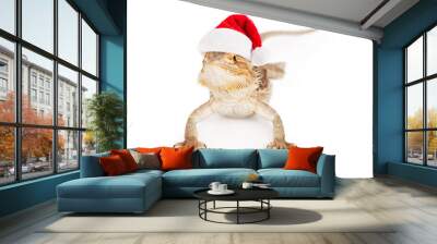 bearded dragon wearing santa hat Wall mural