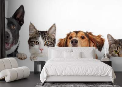 Cats and Dogs Peeking Over White Web Banner Wall mural