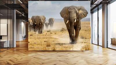 Large elephant leading a herd walking down a path in the dry lake bed of Amboseli National Park Wall mural