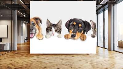 Row of heads of dogs and cats with paws up hanging over a blank white sign sized for website banner or social media header Wall mural