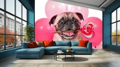 Valentines Day Pet Pug Dog Wall mural