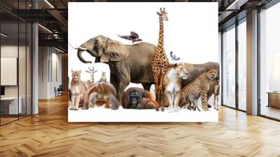 Wild Zoo Animals on White Web Banner Wall mural